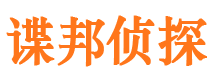 河南市私家侦探